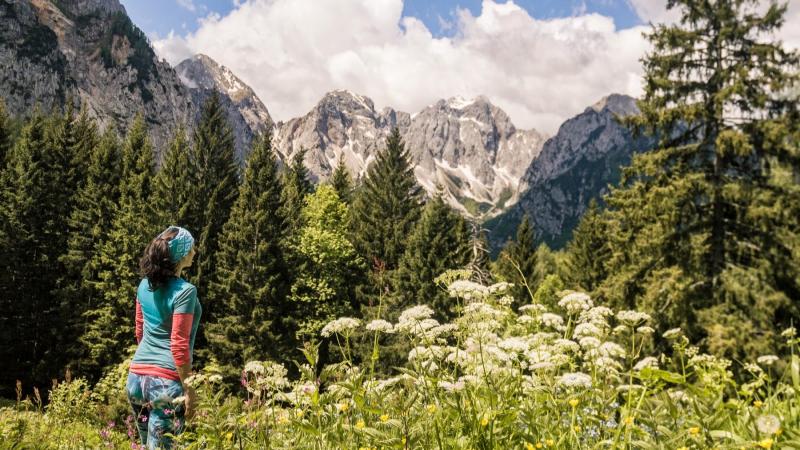 Jewels of the Upper Savinja Valley: Hidden Tourist Gem in North Slovenia