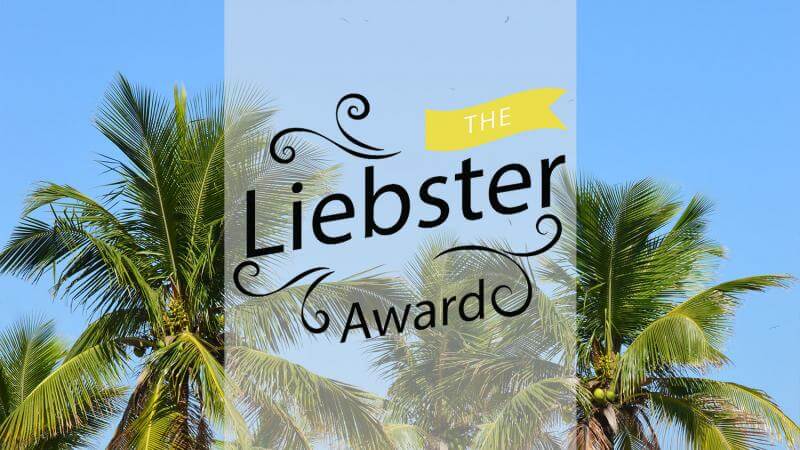 The Liebster Award - from bloggers to bloggers