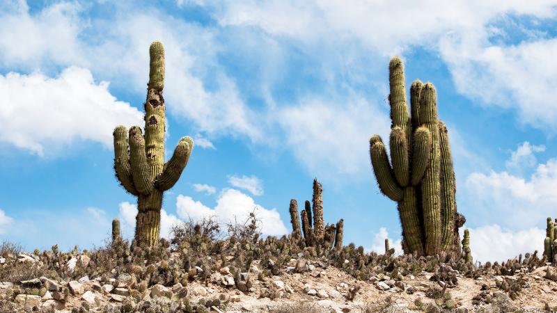 Cuevas de Acsibi and other beautiful places in northern Argentina